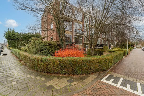 jonkheer de Savornin Lohmanstraat 44_Jonkheer de Savornin Lohmanstraat 44-33.jpg